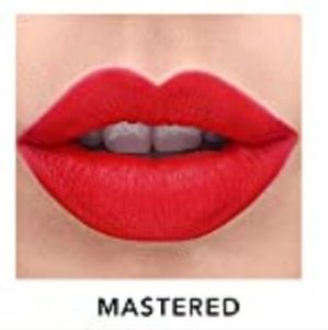 Haus Laboratories Le Monster Matte Lip Crayon in Shade "Mastered"